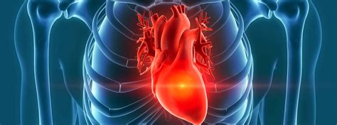 EDTA CHELATION THERAPY SUCCESSFULLY TREATS HEART DISEASE - MindBody ...