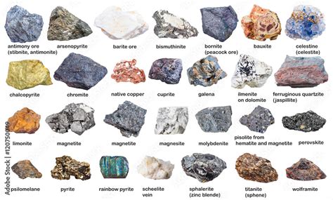 set from raw minerals and ores with names isolated Stock Photo | Adobe ...