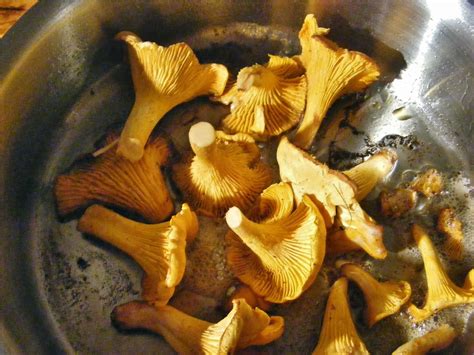 Sandy's France: Recipe of the Month: Girolles provençales