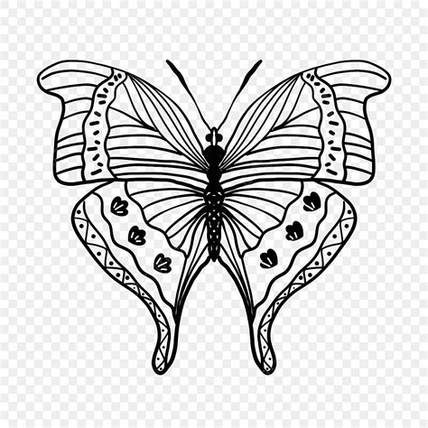 Farfalla Clipart In Bianco E Nero, Le Ali, Ala, Insect File PNG e PSD ...