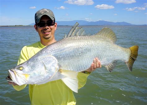 Facts about Barramundi - Karumba Point Sunset Caravan Park