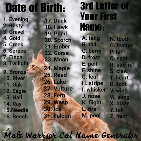 Male warrior cat name generator | Warrior cat names, Warrior cats name ...