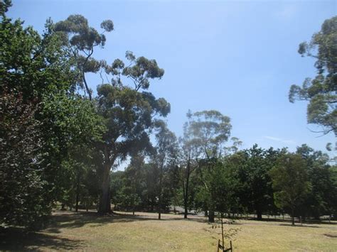 Boroondara Park (Canterbury): UPDATED 2020 All You Need to Know Before ...