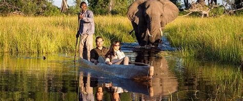 Botswana Safari Tours and Luxury Trips - Botswana Safari Lodges