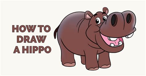 Hippo Drawing Outline