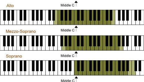 Female Vocal Range and Voice Types! | Vocal range, Voice type, Vocal