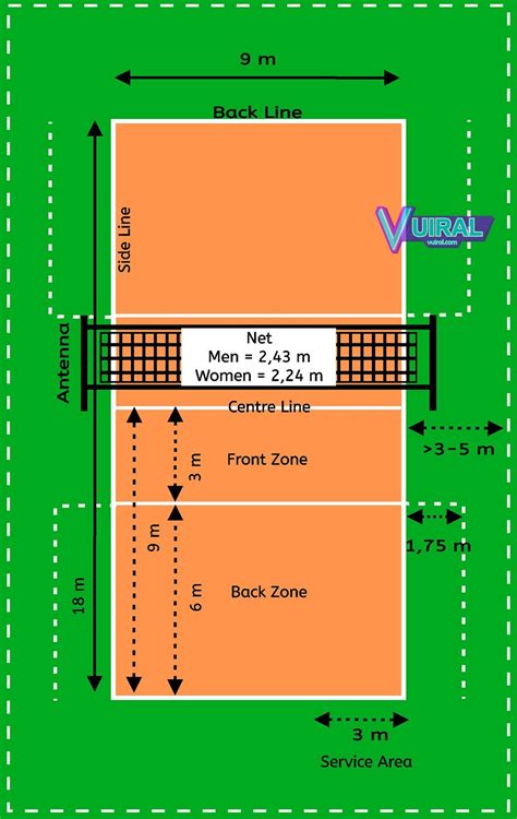 Gambar Dan Ukuran Lapangan Bola Voli Beserta Keterangannya - Vuiral