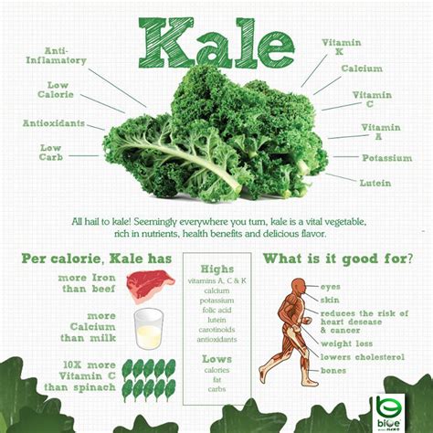 Kale - the Superfood