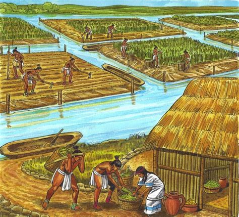 Mayan Agriculture