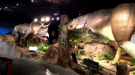 Las Vegas Natural History Museum - Living Las Vegas