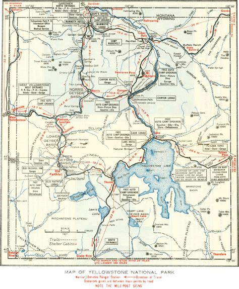 Yellowstone NP: Fossil Forests of the Yellowstone National Park