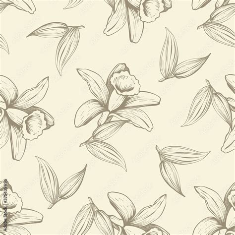 Seamless background with vanilla flower. Orchid. Natural vector hand ...