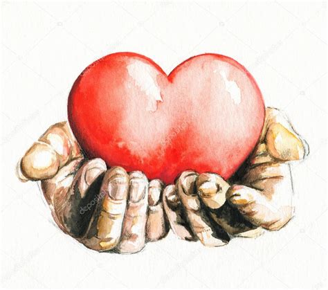 Hands holding heart isolatet on white background.Picture I have created ...