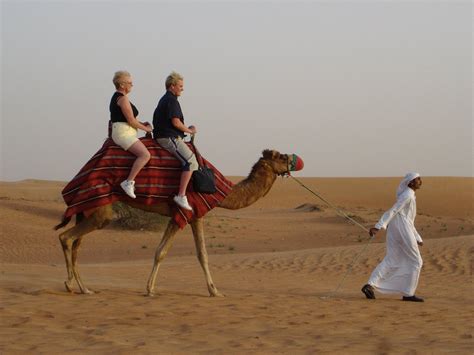 Camel Ride Free Photo Download | FreeImages