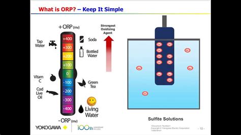 Understanding ORP Basic - YouTube