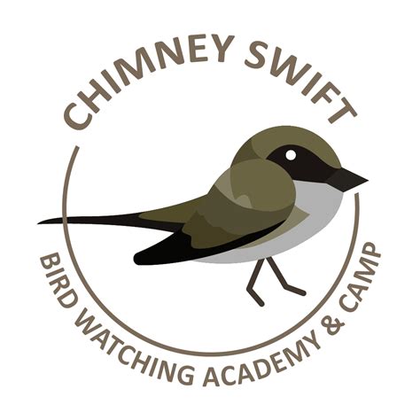 Chimney Swift - Bird Watching Academy