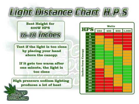 Light Distance for Growing Cannabis - Percys Grow Room