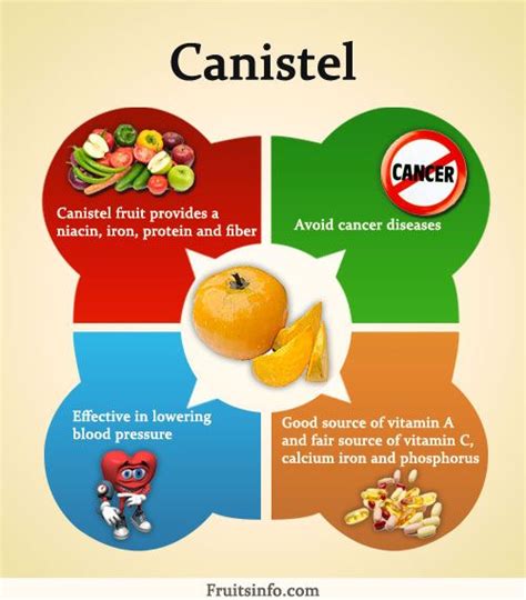 Canistel Infographic | Fruit benefits, Fruit, Nutrition facts