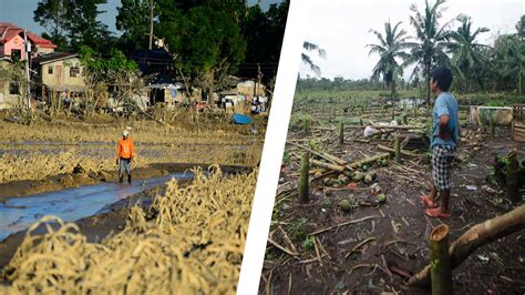 Dept. of Agriculture to Help Typhoon-hit Farmers to Replant Again