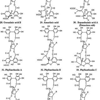 Structures of Lignans isolated form P. amarus . | Download Scientific ...