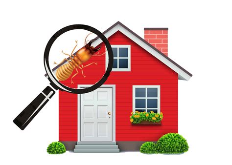 DIY Termite Inspection. - How To Pest