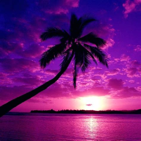 Spring into Colorful Monochromatic Photographs | Purple sunset ...