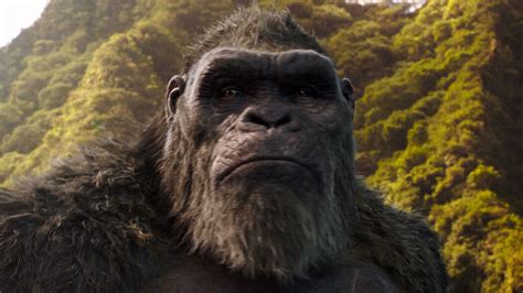 ‘Godzilla vs. Kong’ Review: Let’s You and Him Fight - The New York Times