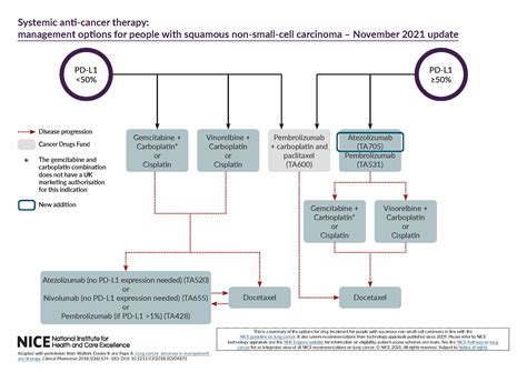 Overview | Lung cancer: diagnosis and management | Guidance | NICE