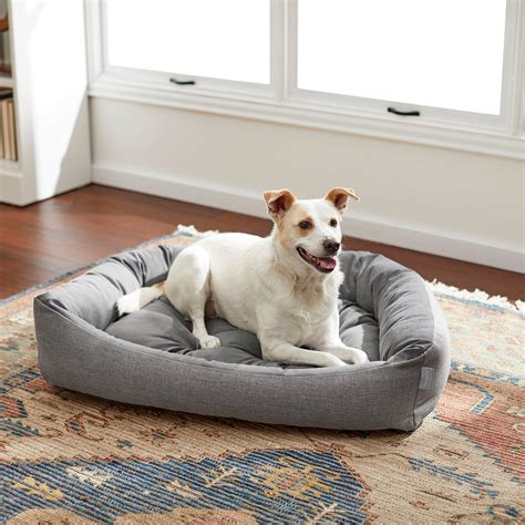 Frisco Rectangular Bolster Dog Bed w/Removable Cover, Dark Gray, X ...