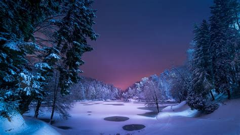 Snowy Forest Night Wallpapers - 4k, HD Snowy Forest Night Backgrounds ...