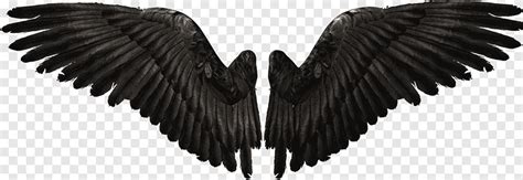 Devil wings, black wings, wing png | PNGEgg