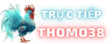 THOMO38 TRANG TRỰC TIẾP ĐÁ GÀ THOMO SẢNH SV388