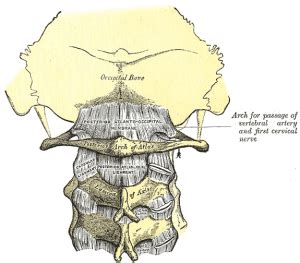 Posterior atlanto-occipital ligament - Physiopedia