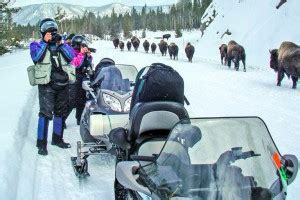 West Yellowstone Snowmobiling: Snowmobile Rentals & Tours - AllTrips