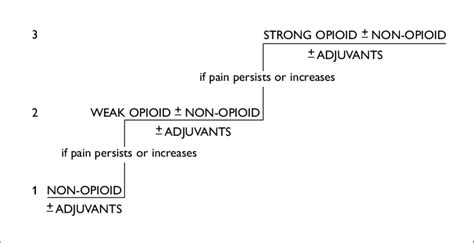 The World Health Organization's three-step pain ladder, which ...