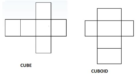 Net of a cube and a cuboid.