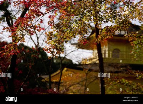 Buddhist Temple in Kyoto Stock Photo - Alamy