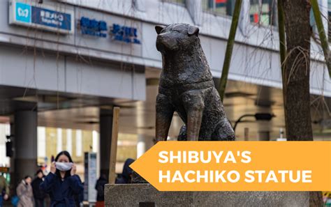 10 Things You Didn’t Know About Shibuya’s Famous Hachiko Statue - Coto ...