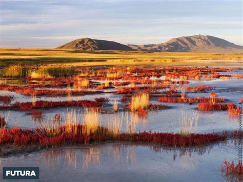 The Ubsunur Hollow Biosphere reserve in northern Mongolia, one of the ...