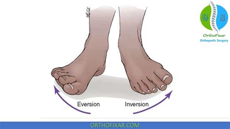 Foot Inversion Range Of Motion