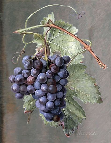 Grape Painting, Fruit Painting, Painting Media, China Painting ...