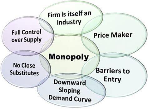 What is Monopoly Market? definition, meaning and features - Business ...