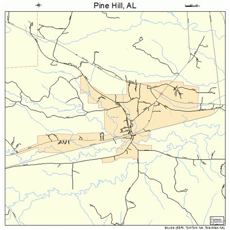 Pine Hill Alabama Street Map 0160240