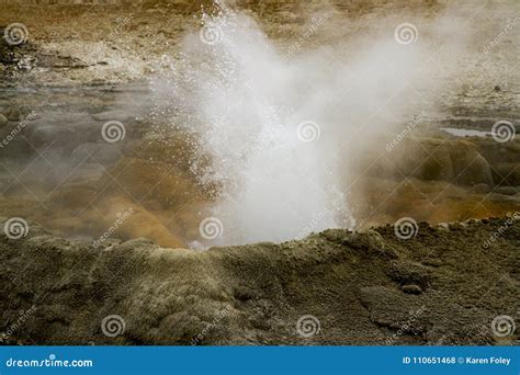 Steaming Geyser Vents at Fountain Paint Pots in Yellowstone National ...