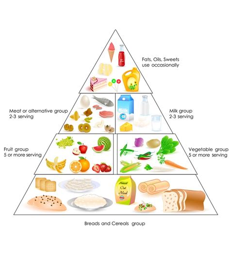 How Much Food Should A Baby Eat? | Balanced diet chart, Diet chart ...