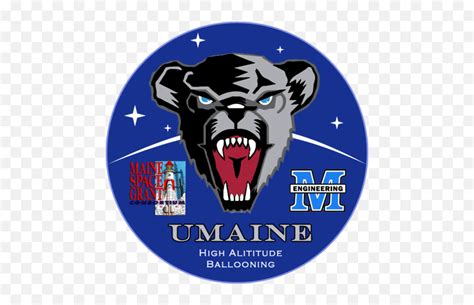 Umhab Twitter - Umaine Black Bears Png,Umaine Logo - free transparent ...