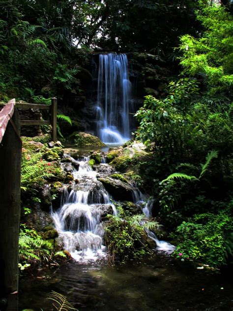 Rainbow Springs: Beautiful and Preserved as a State Park