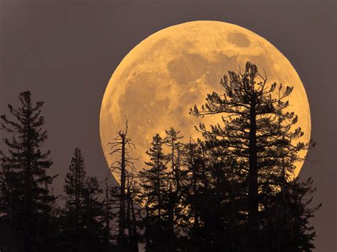 Supermoon tonight will be biggest and brightest full moon of 2023 so far