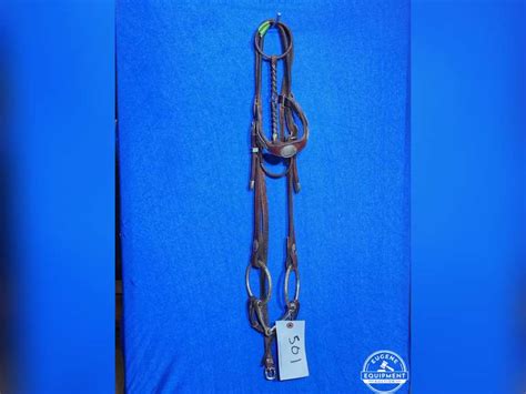 Leather Bridle w/ Twisted Wire Snaffle Bit - Eugene Equipment Auction