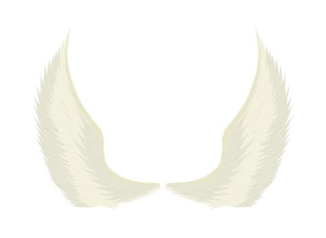 angel wings white background 10964612 Vector Art at Vecteezy